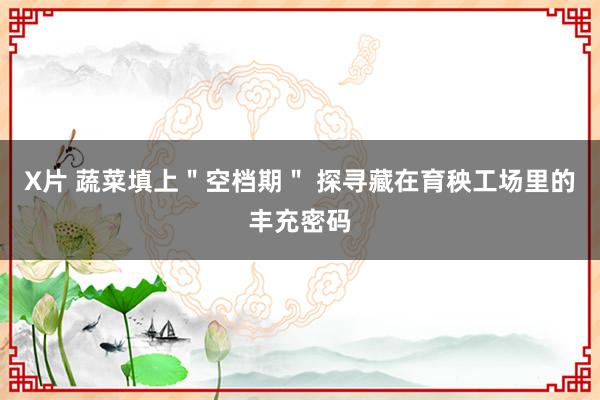 X片 蔬菜填上＂空档期＂ 探寻藏在育秧工场里的丰充密码