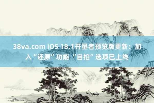 38va.com iOS 18.1开垦者预览版更新：加入“还原”功能 “自拍”选项已上线